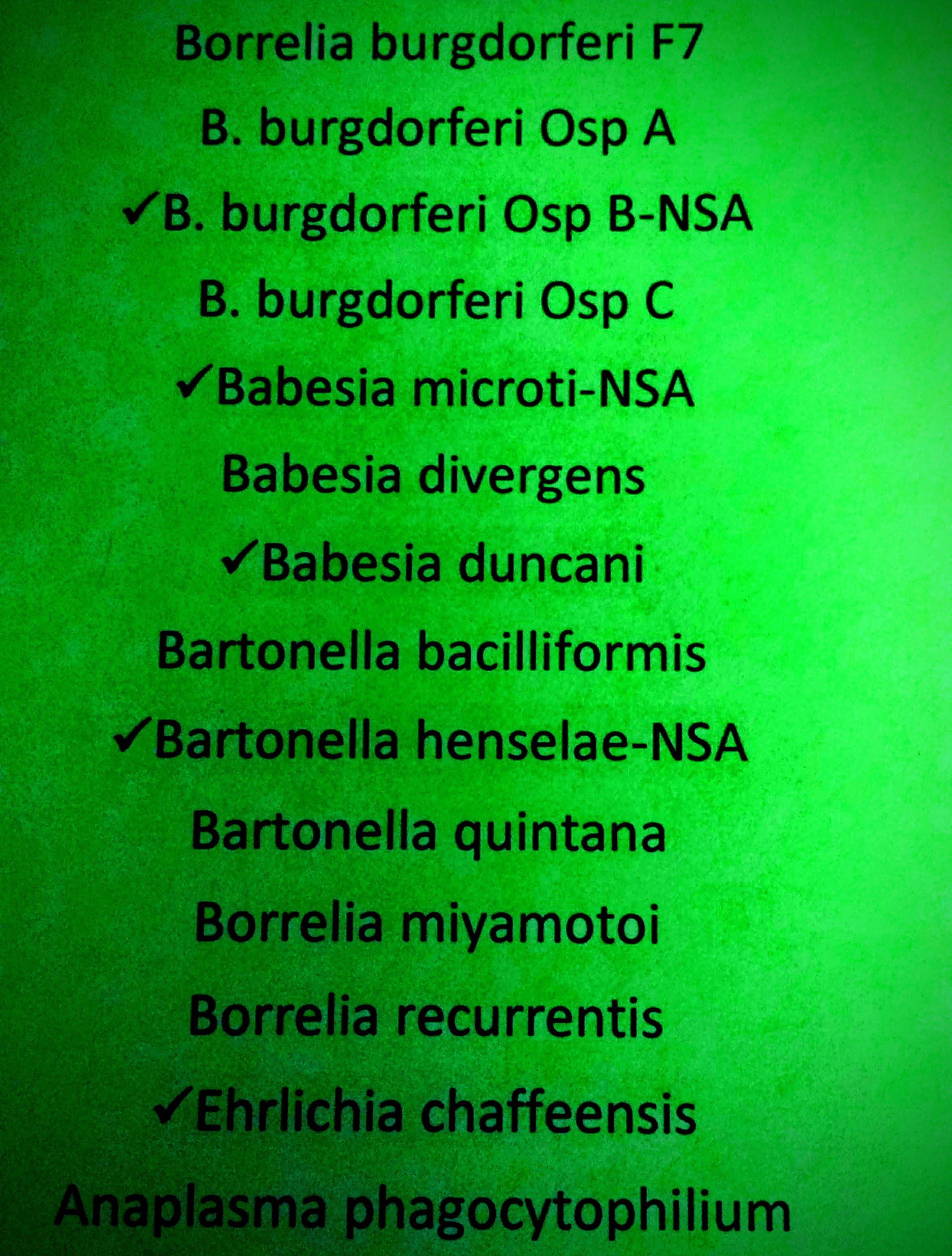 IMG_20170518_224418606