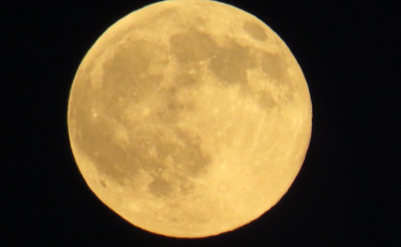 Werewolves of Lymeland