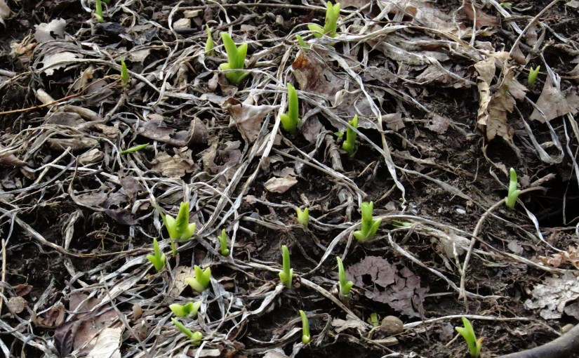 Almost . . . But Not&nbsp;Yet